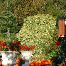 Charmehotel De stokerij te Oudenburg, West-Vlaanderen - Overnachten nabij Brugge, Oostende en De Haan